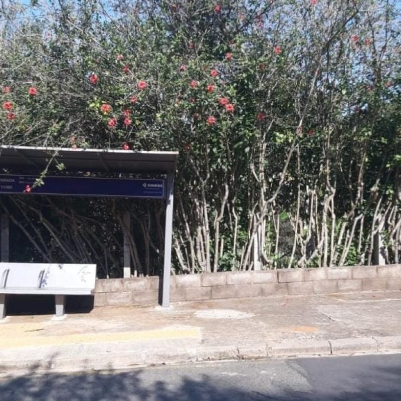 738b7b6c-43db-4b8d-82df-6ef8a40dee5c