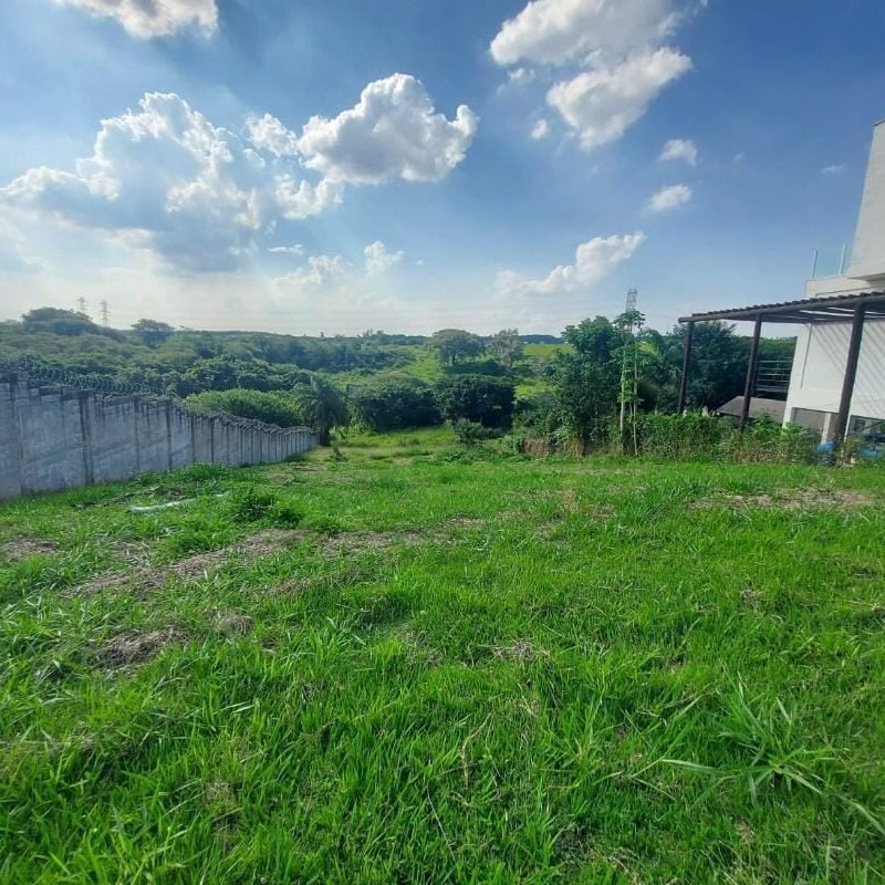 WhatsApp Image 2025-01-29 at 15.30.44