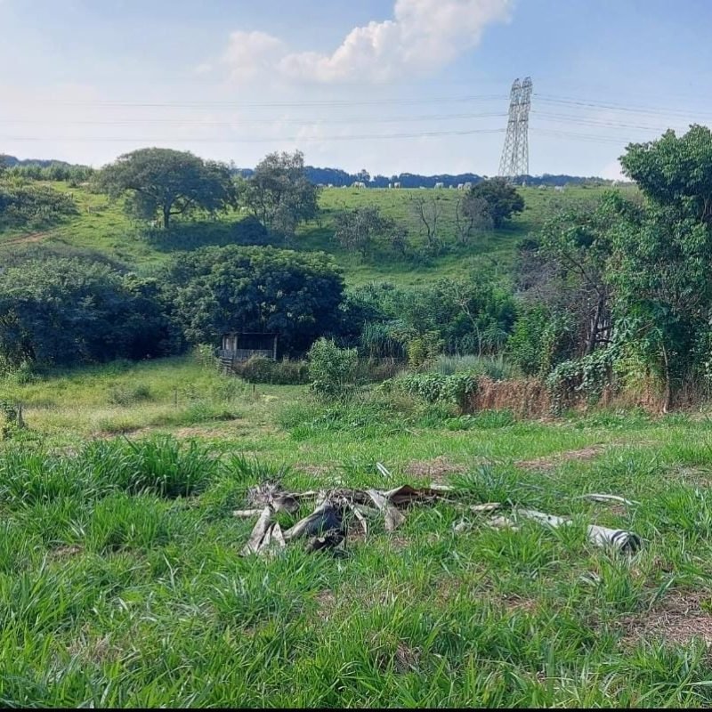 WhatsApp Image 2025-01-29 at 15.30.46